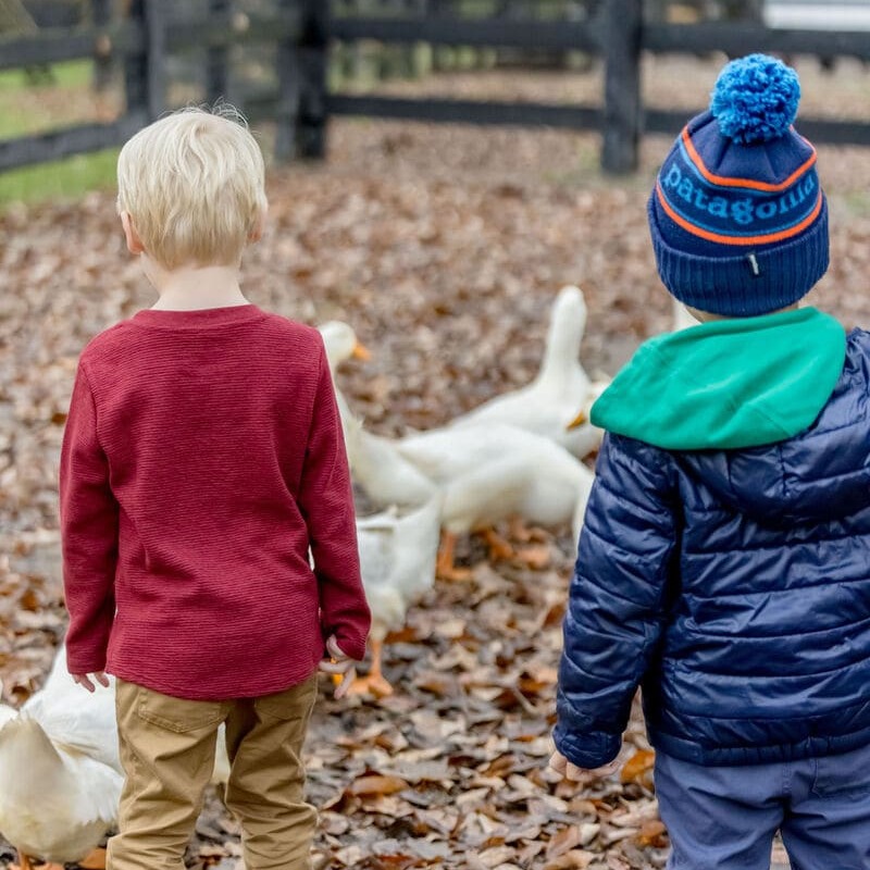 perch playschool at perch farm